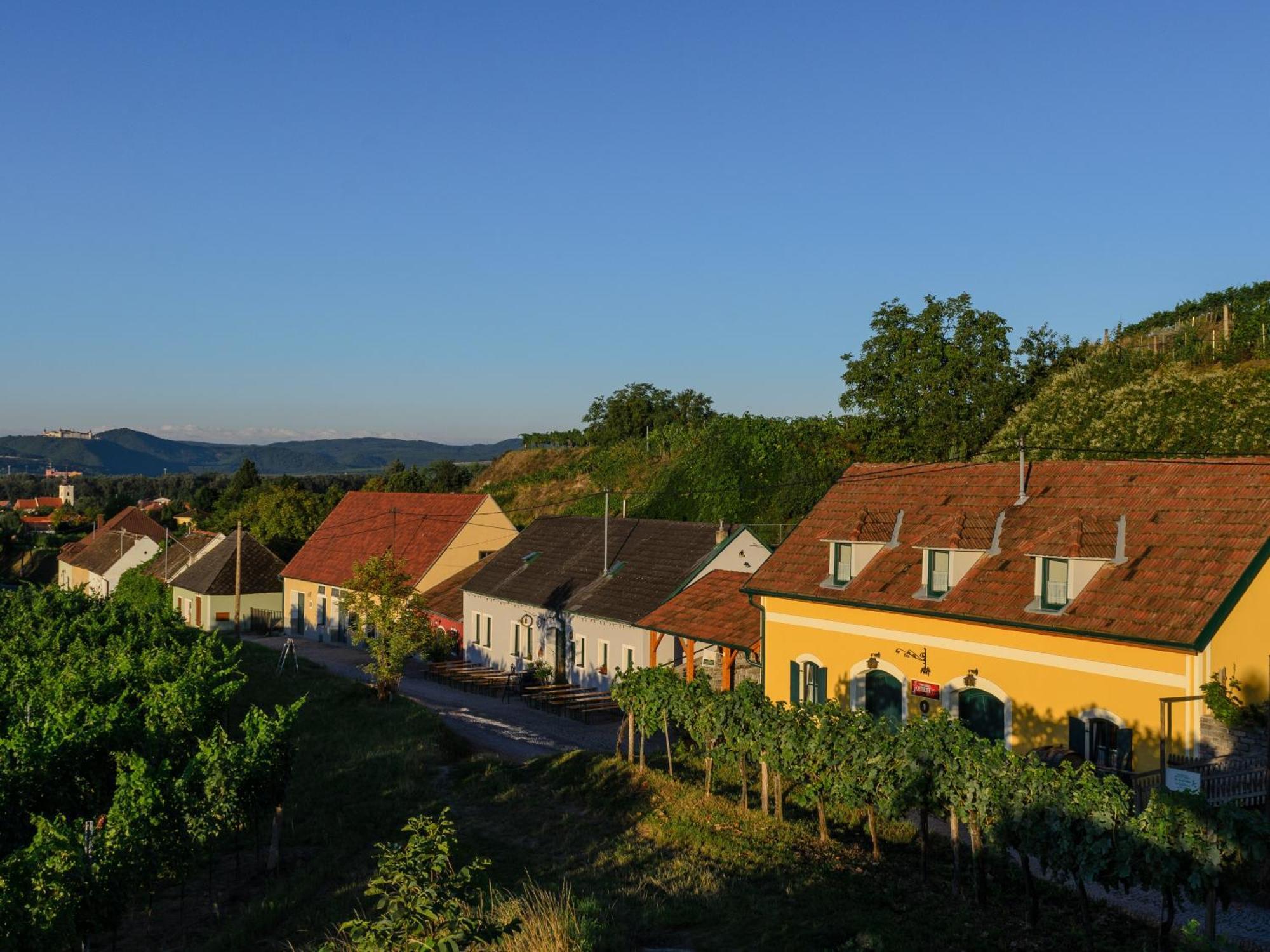 מלון Rohrendorf bei Krems Gaestehaus Familie Trachsler מראה חיצוני תמונה